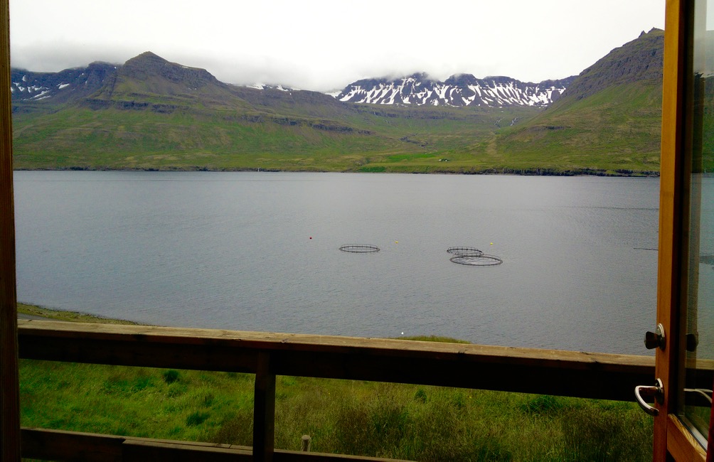 Cabaña fiordo interior