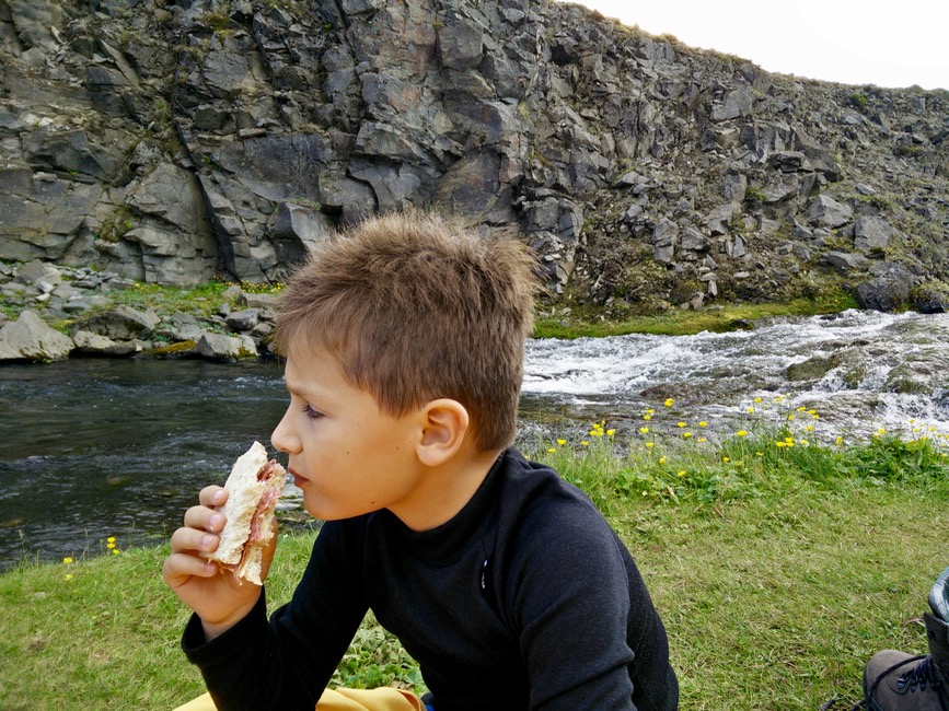 Laugavellir comiendo